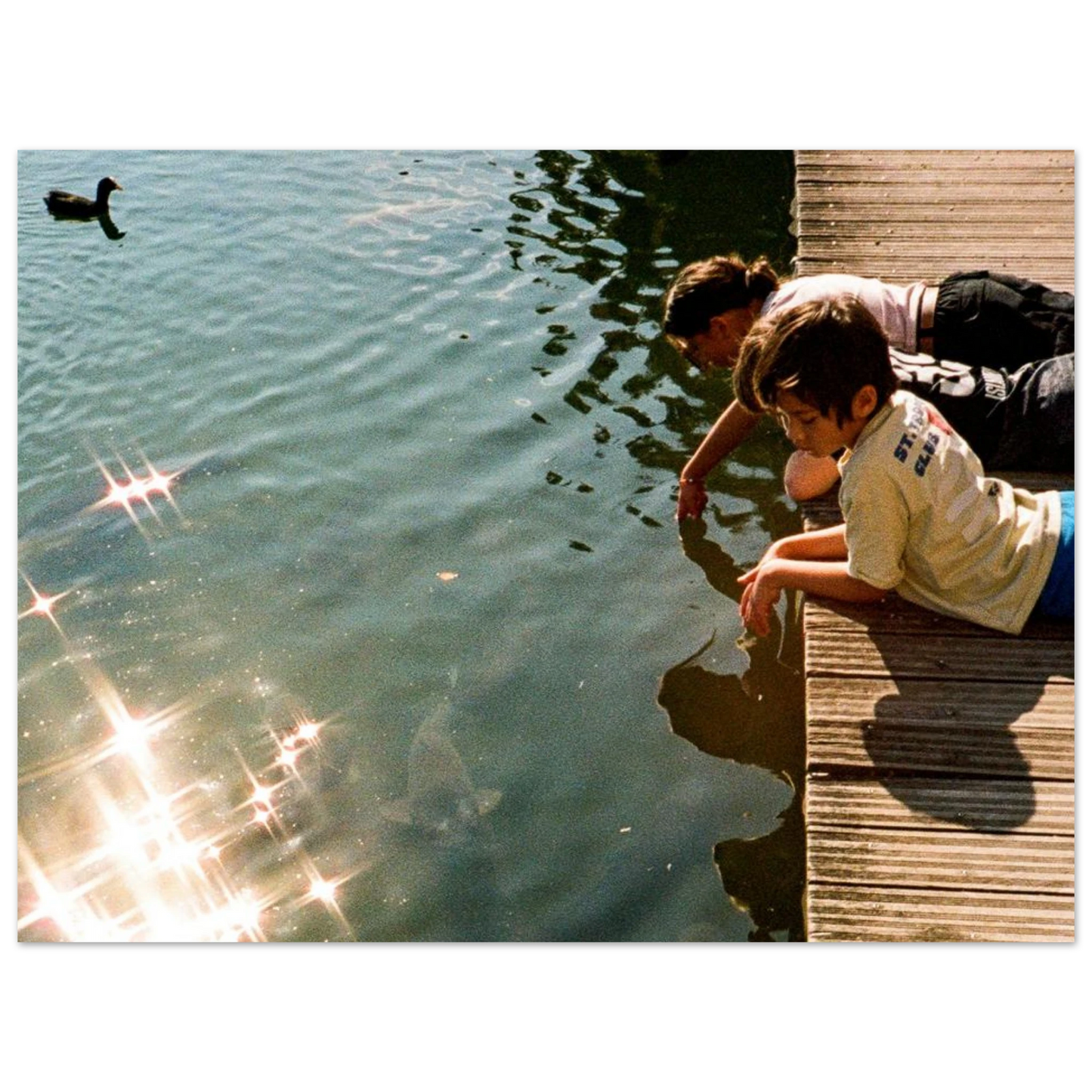 9475bdc3-0a91-415f-9110-1046275b7c11