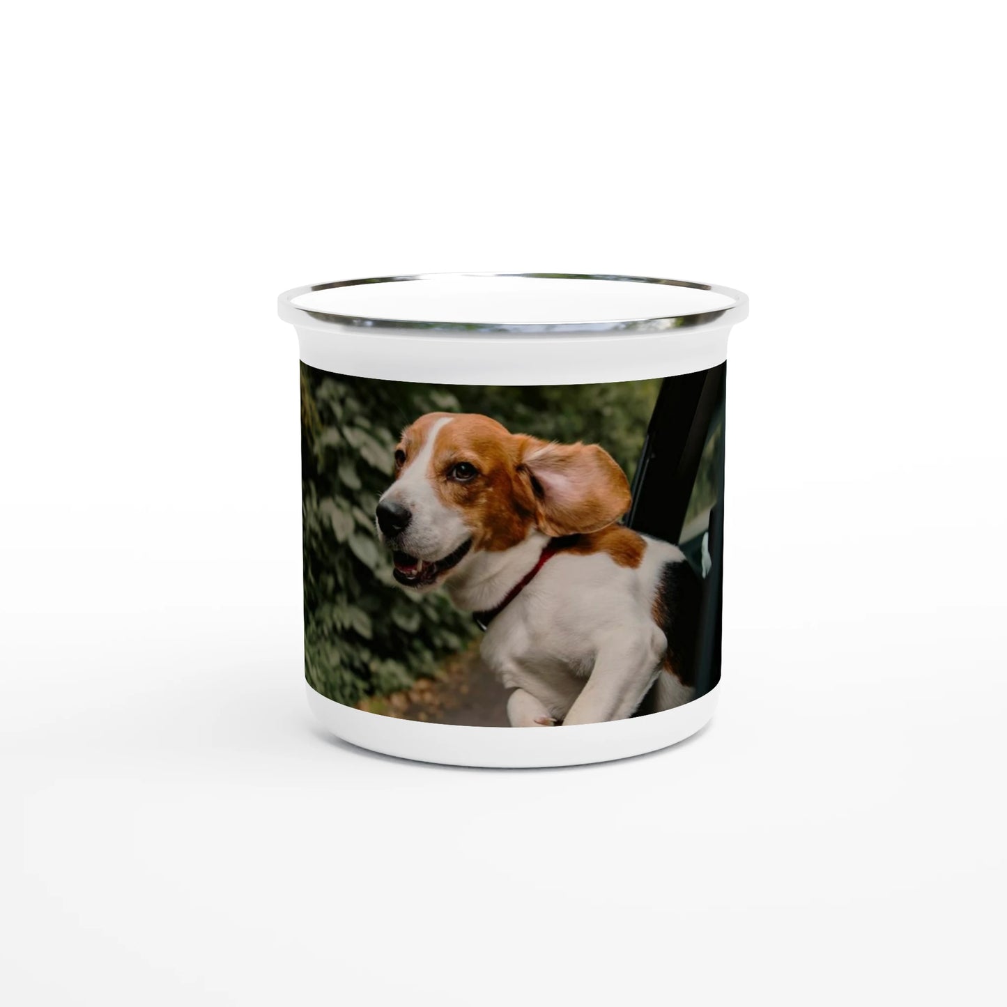 9c47957d-f287-40b4-aae8-2da6cd66d199